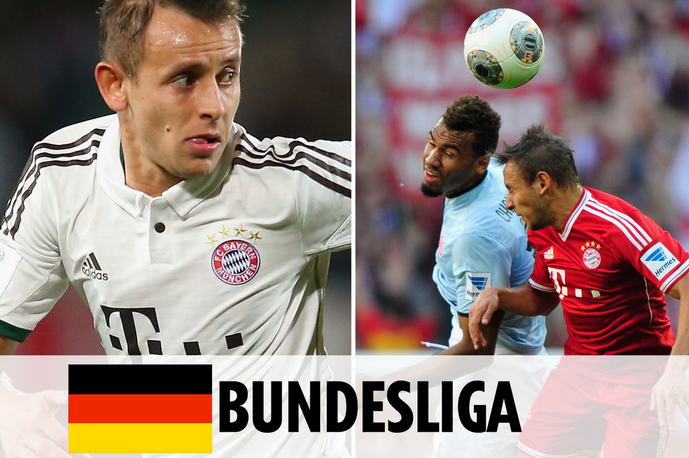 健康状况的 健康状况的