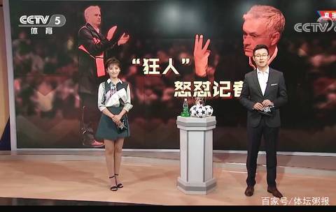 嵌入团队逻